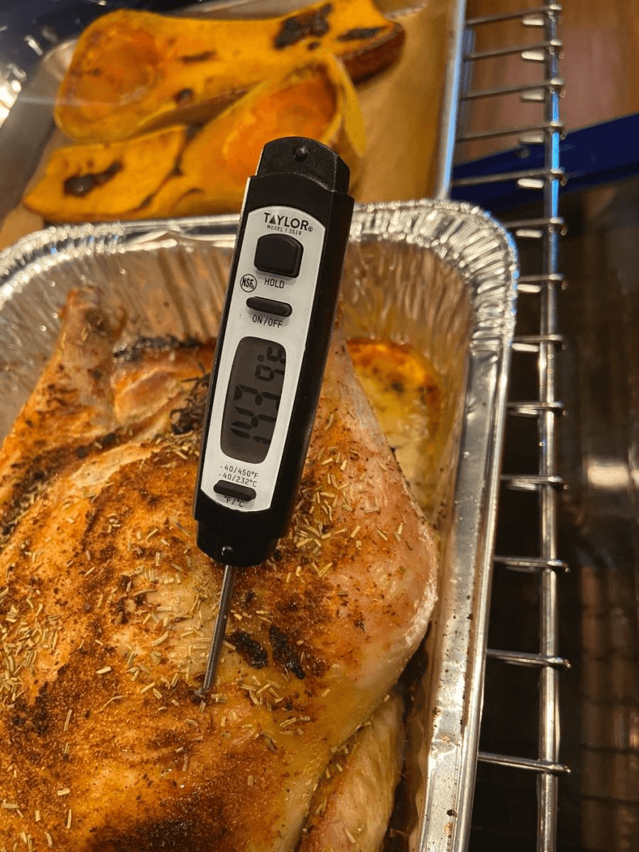 Đặt đầu dò vào tâm của thực phẩm để đo được nhiệt độ chính xác nhất